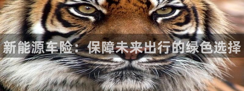 门徒娱乐 找86555
