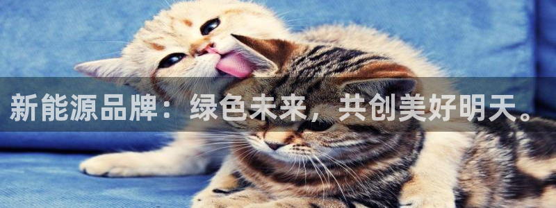 门徒娱乐老板是谁扮演的