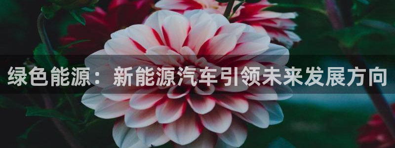 门徒娱乐是做什么的啊