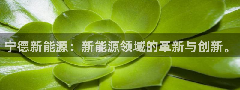 门徒娱乐官网下载