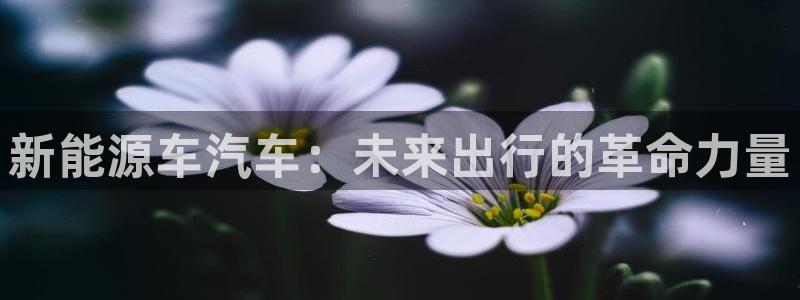 门徒娱乐注册团唐老鸭779O3：新能源车