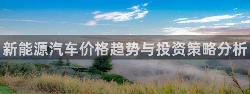门徒娱乐主管注册：新能源汽车价格趋势与投