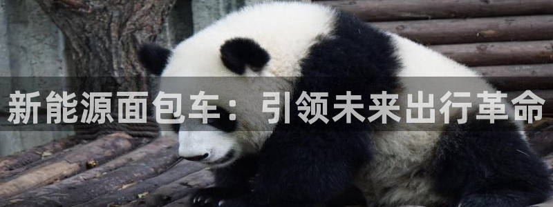 门徒娱乐账号注册流程图:新能源面包车:引领未来出行革命