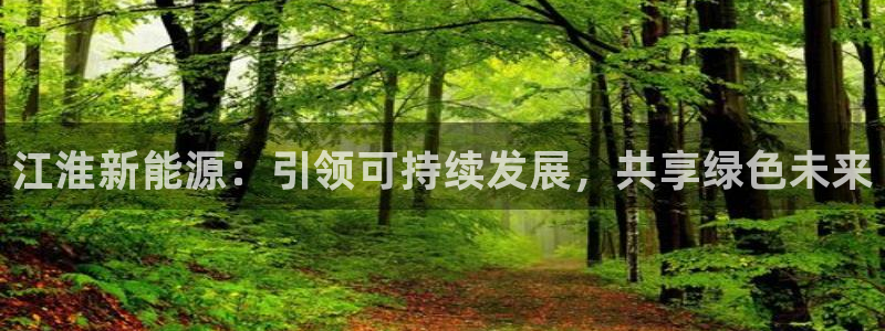 白云生 娱乐门徒:江淮新能源:引领可持续发展,共享绿色未来