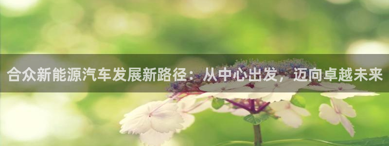 门徒娱乐黑钱：合众新能源汽车发展新路径：