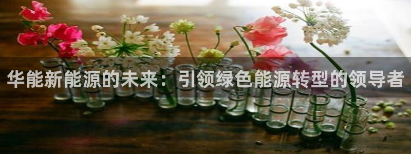 门徒娱乐 门徒平台：华能新能源的未来：引