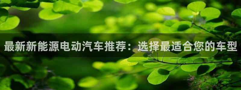 门徒娱乐网站下载:最新新能源电动汽车推荐:选择最适合您的车型