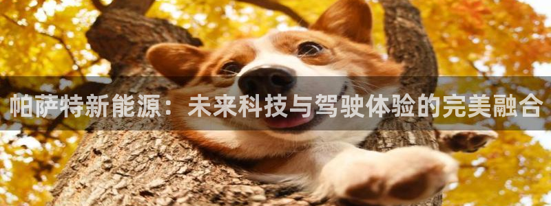 门徒娱乐登录：帕萨特新能源：未来科技与驾
