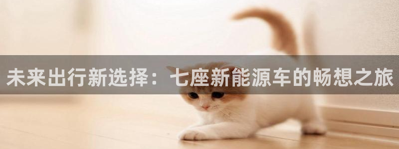 门徒娱乐十年老总身价:未来出行新选择:七座新能源车的畅想之旅