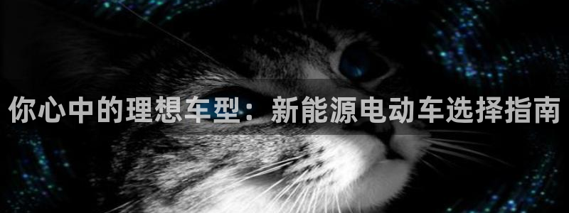 门徒娱乐网页版下载链接