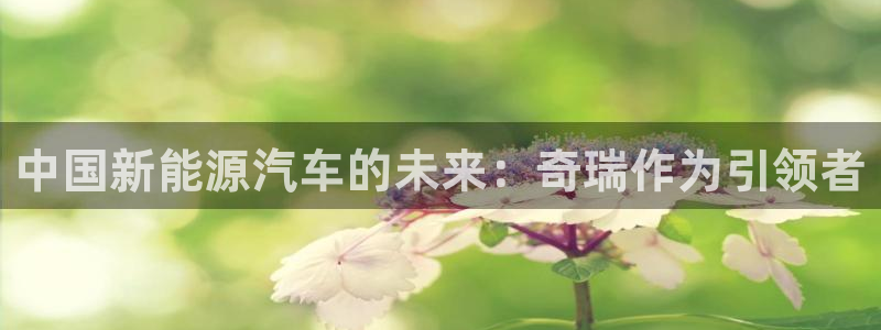 门徒娱乐怎么样