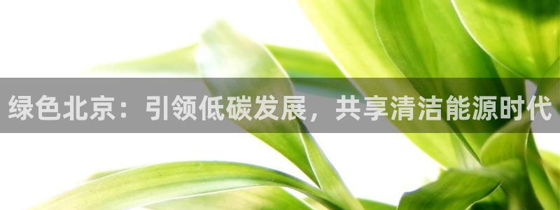 门徒娱乐老板是谁啊视频