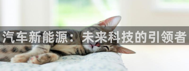 门徒娱乐的产品介绍