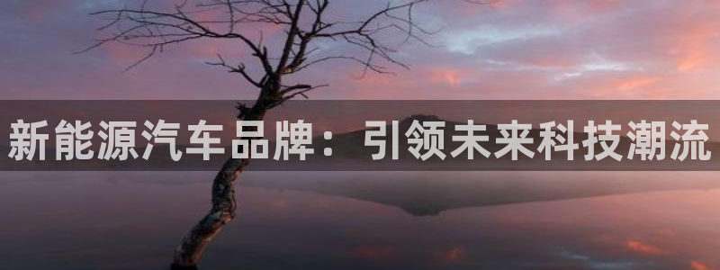 门徒娱乐秀大结局:新能源汽车品牌:引领未来科技潮流