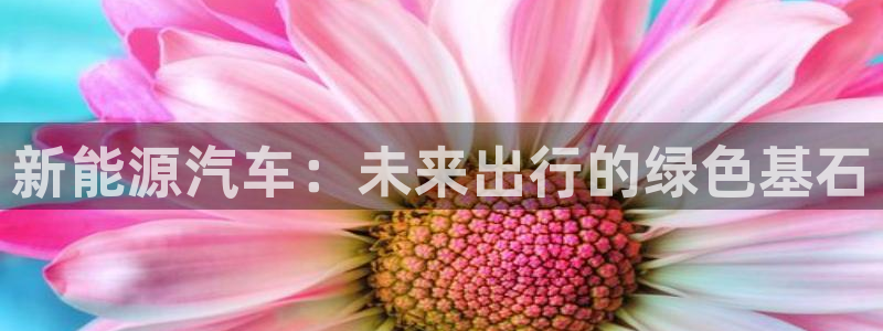 门徒娱乐平刷