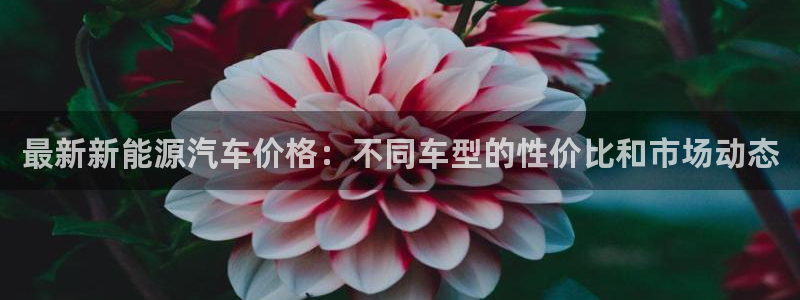 门徒娱乐注册逐风67O77:最新新能源汽车价格:不同车型的性