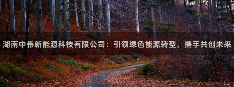 小刀娱乐门徒：湖南中伟新能源科技有限公司