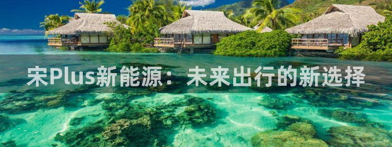 门徒娱乐集团官网首页：宋Plus新能源：