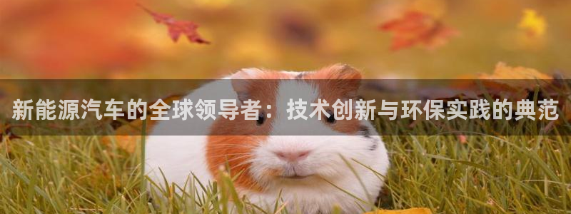 门徒娱乐是个什么软件啊