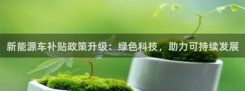 娱乐门徒完结小说有哪些