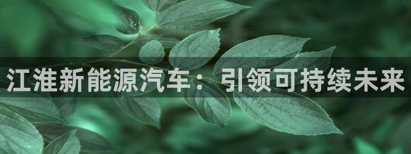 门徒娱乐是不是搞诈骗的:江淮新能源汽车:引领可持续未来
