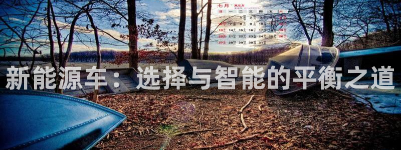 门徒娱乐在线链接网址:新能源车:选择与智能的平衡之道