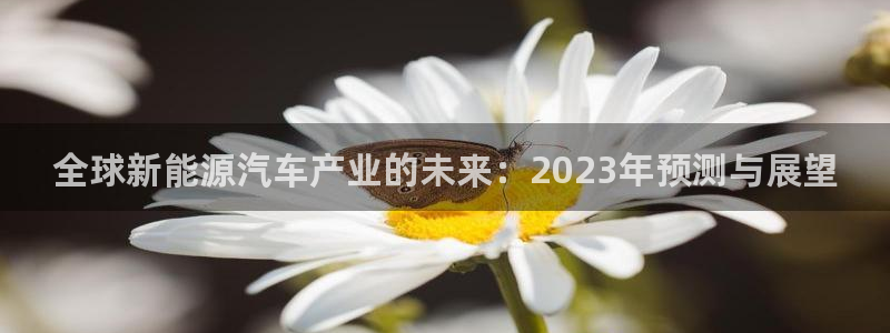 门徒娱乐怎么代理游戏的:全球新能源汽车产业的未来:2023年
