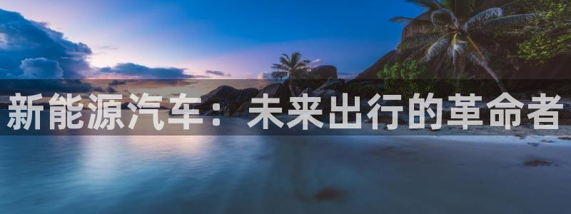 门徒娱乐平如何注册:新能源汽车:未来出行的革命者