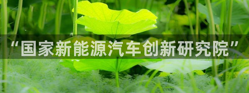 门徒娱乐下载手机版:“国家新能源汽车创新研究院”