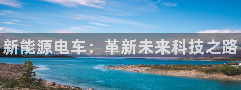 门徒娱乐是大平台吗：新能源电车：革新未来