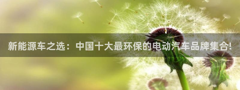 门徒娱乐平台安全吗现在：新能源车之选：中