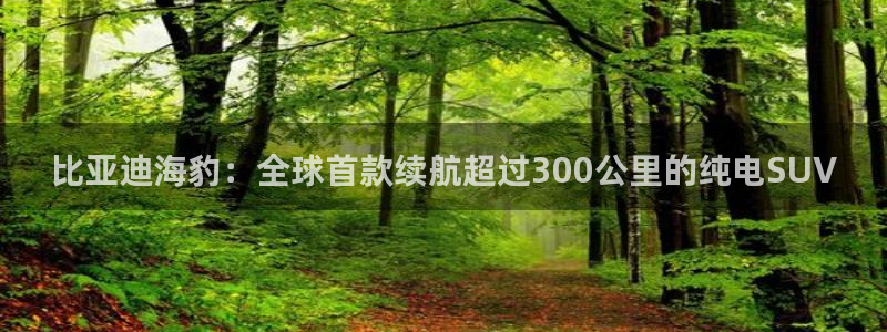 门徒娱乐挂机软件是什么:比亚迪海豹:全球首款续航超过300公