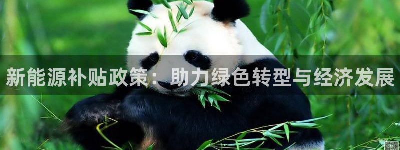 门徒娱乐乞六七五一38:新能源补贴政策:助力绿色转型与经济发