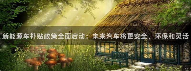 门徒娱乐右5指尖:新能源车补贴政策全面启动:未来汽车将更安全