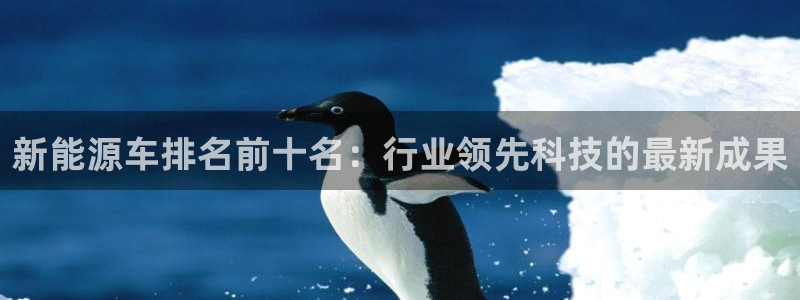 门徒娱乐主管:新能源车排名前十名:行业领先科技的最新成果