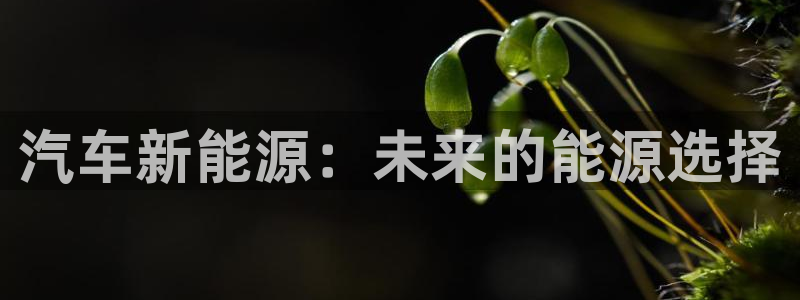 门徒彩票娱乐用户评价：汽车新能源：未来的