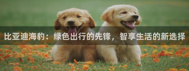 门徒娱乐负责人:比亚迪海豹:绿色出行的先锋,智享生活的新选择