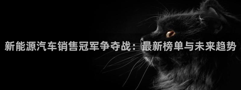 门徒娱乐正规吗：新能源汽车销售冠军争夺战