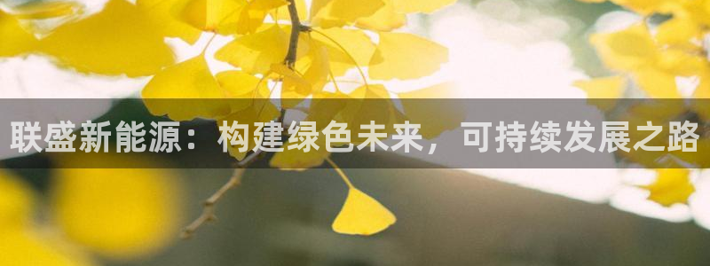 门徒娱乐与六七五一38：联盛新能源：构建