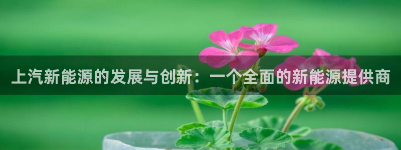 娱乐门徒完结了吗小说：上汽新能源的发展与