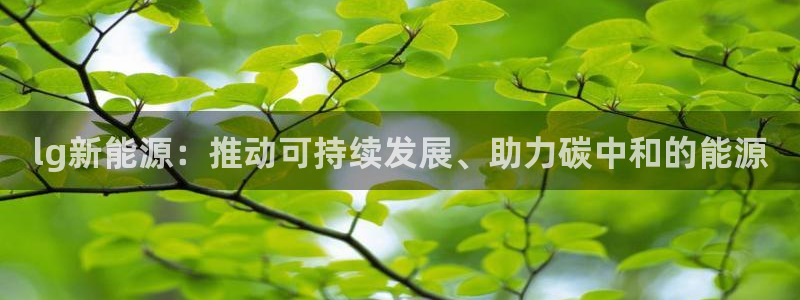 门徒娱乐网址：lg新能源：推动可持续发展