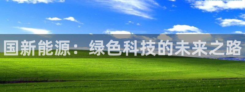 门徒2娱乐：国新能源：绿色科技的未来之路