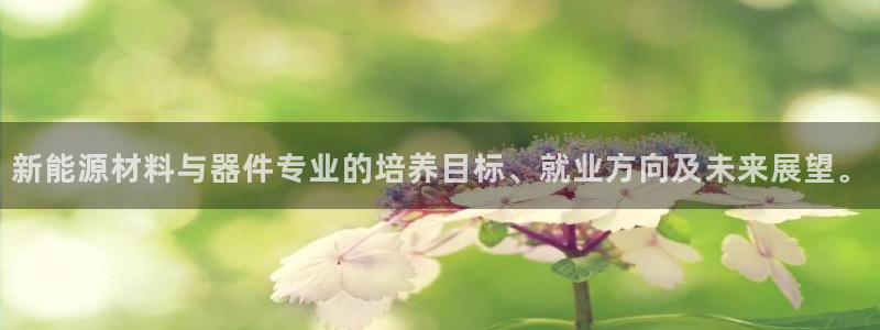 门徒娱乐主管里去判官333OO：新能源材
