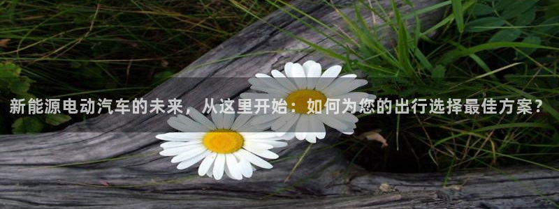 门徒娱乐土六七五一38：新能源电动汽车的