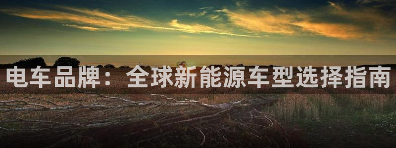 门徒娱乐场所：电车品牌：全球新能源车型选