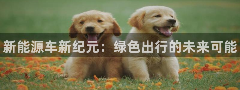 举报门徒娱乐:新能源车新纪元:绿色出行的未来可能