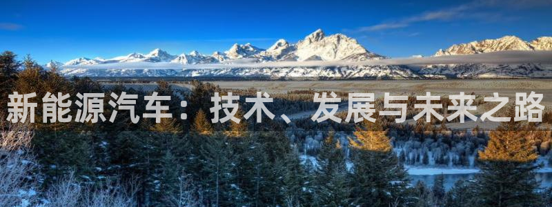 门徒娱乐怎么注册公司:新能源汽车:技术、发展与未来之路