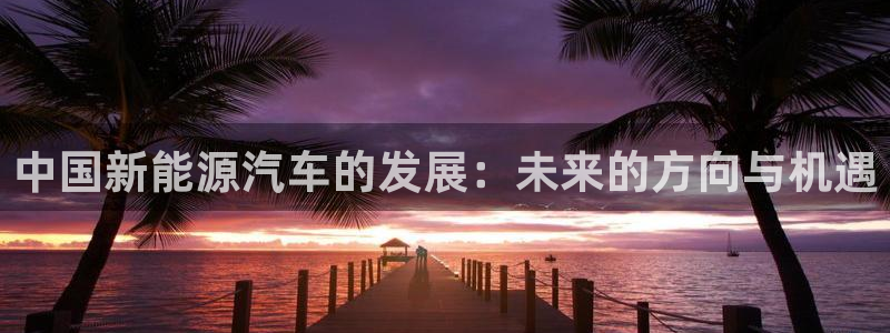 门徒娱乐挂机app下载:中国新能源汽车的发展:未来的方向与机