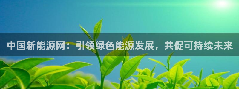 娱乐门徒免费下载安装：中国新能源网：引领