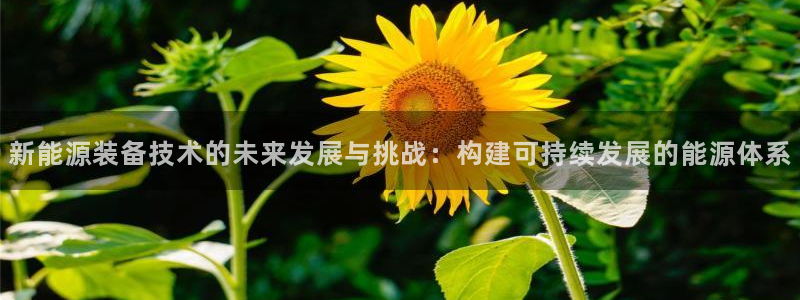 门徒六娱乐：新能源装备技术的未来发展与挑
